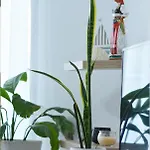 By The Sea 1 - Luxurious Дуррес