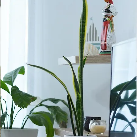 By The Sea 1 - Luxurious Durres